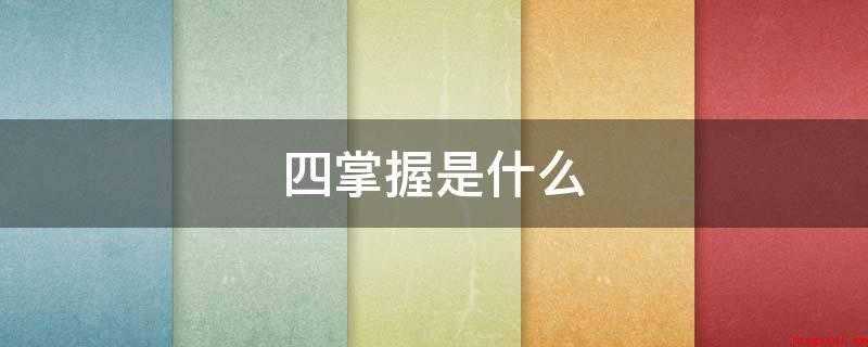 四掌握是什么