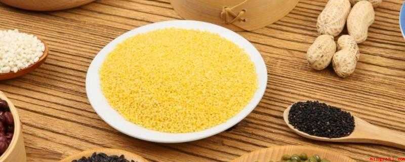 杂粮怎么炒（杂粮的养身作用数不胜数,是大家健康生活方式的最好饮食搭配爱人）