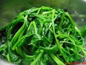 什么菜汁和面颜色最绿（菠菜汁和面颜色最绿的做法）
