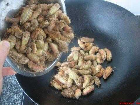 蛾怎么做好吃(蛾子的做法_健康频道)