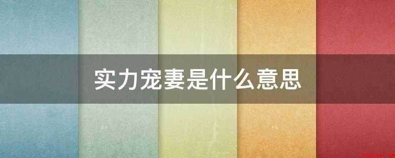 实力宠妻是什么意思