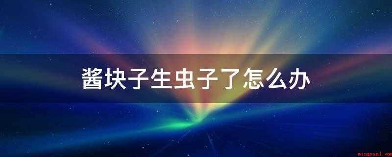 酱块子生虫子了怎么办