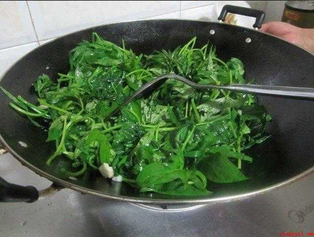 番薯叶怎么炒