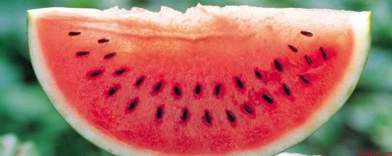 西瓜头甜还是尾巴甜点(西瓜头和尾巴都不甜,最甜的是中间部分)
