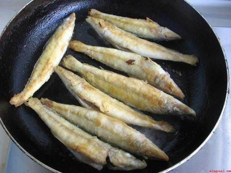 沙丁鱼怎么做好吃(从冰箱里取出沙丁鱼解冻)