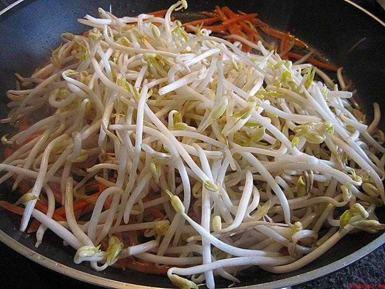 绿豆牙莱怎么炒好吃(绿豆芽的做法_健康频道)