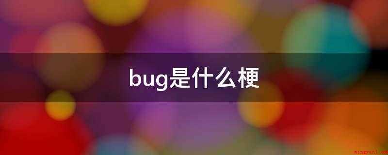 bug是什么梗是什么意思（bug通常指的意思是缺陷、漏洞、不合理的存在之意）