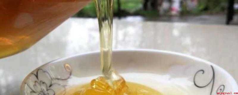 板栗花蜜是几等蜜(板栗蜜的功效作用_健康频道)