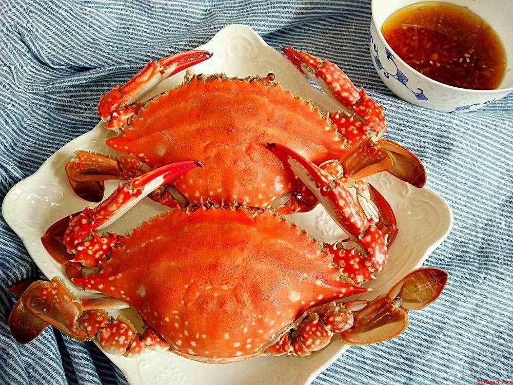梭子蟹蒸多久(服用梭子蟹的常见问题及不吃四构件)