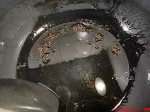 豆腐怎样做才好吃既简单又好吃(郫县豆瓣酱的做法,简单又好吃)