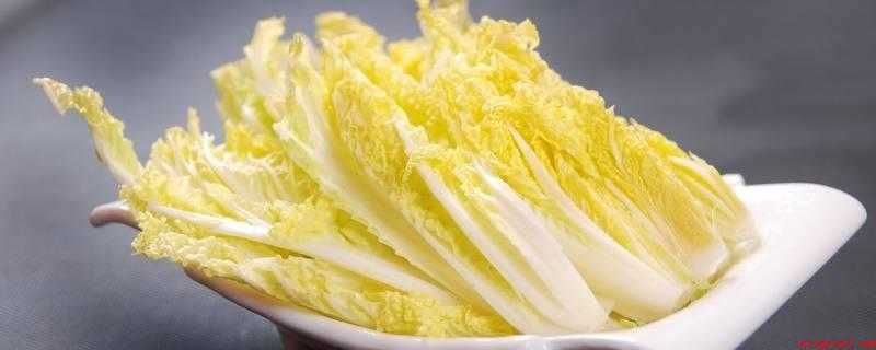 娃娃菜能晒干储存吗(娃娃菜是一种袖珍型幼株大白菜)
