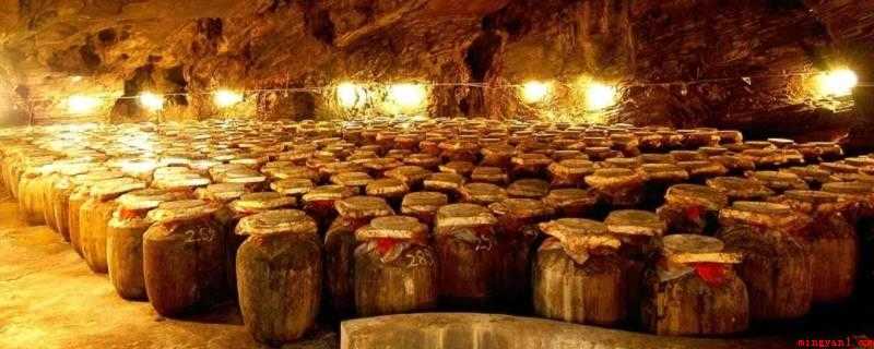 固态发酵酒什么意思(固态发酵,是微生物菌种在没有或基本上没有分散水的固态基质上的)
