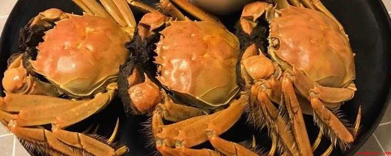 螃蟹拿回来怎么保存不会死(螃蟹放进在其中,留意不能将螃蟹重叠放进,放水至螃蟹身体的一半)