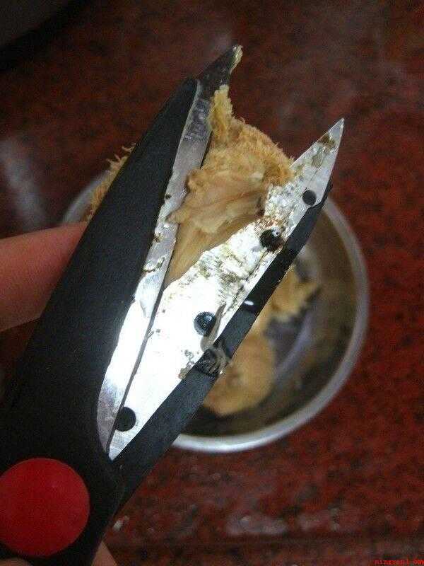 猴头菇怎么做（猴头菇提前一晚浸泡,隔一段时间换一遍水）