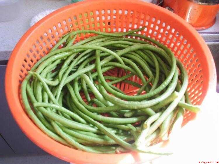怎样腌制豆角(豇豆的食材准备,豇豆用清水漂净。)