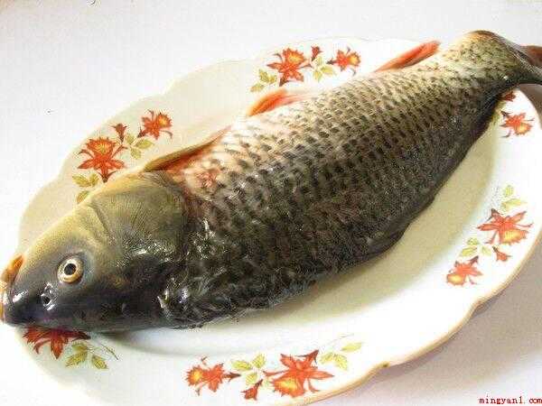 红烧鲤鱼怎么做（鲤鱼洗净,去鳞去腮去内脏,再冲去血水。）