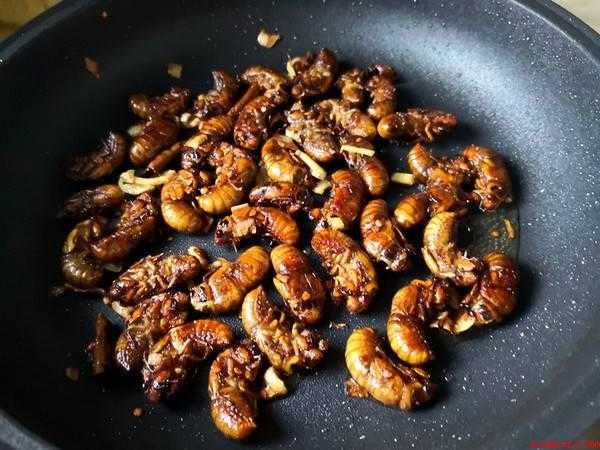 爬叉怎么吃（男性腹腔第一、二节有鸣器,雌虫无鸣器）