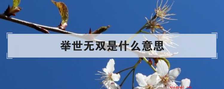 举世无双是什么意思（简略回应万中无一,源于汉·东方朔《答客难一首》,描述极为少见）