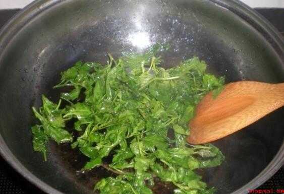 菊花脑怎么吃(菊花脑是一种有发展潜力的保健无公害蔬菜)