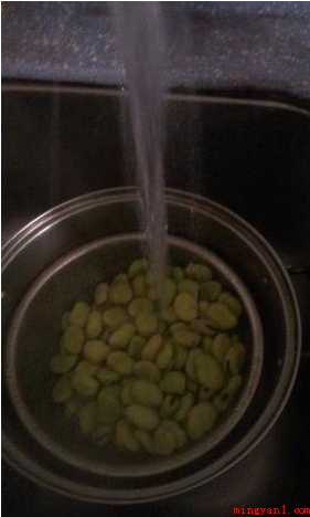 蚕豆如何长期保存(蚕豆长期保存方法)