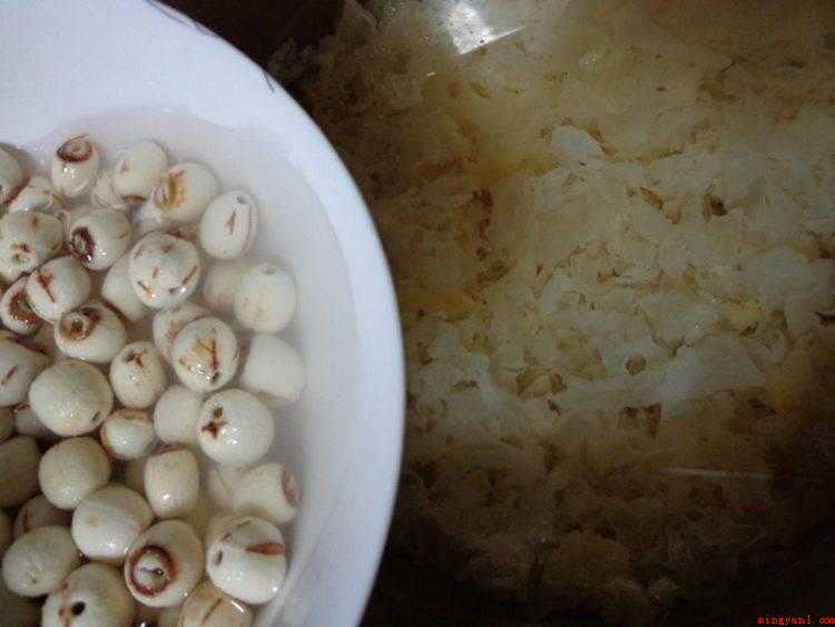 新鲜的莲子怎么做好吃（银耳和莲子洗净泡的做法）