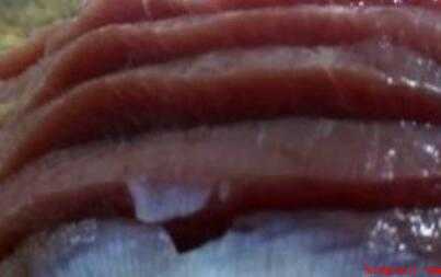怎么炒菌肝(炒菌肝:鸭胗3个、葱段4个、米酒1勺、麻椒10个、泡椒)