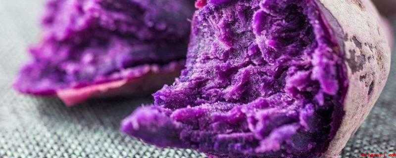 芋头和紫薯哪个热量高（紫薯和紫薯有什么区别?）