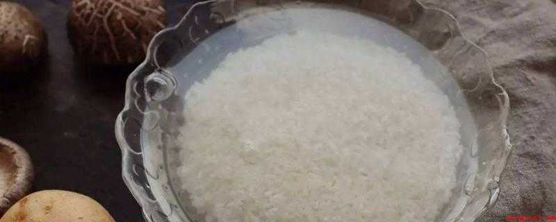 水饭怎么做(大米100适量清水的做法)