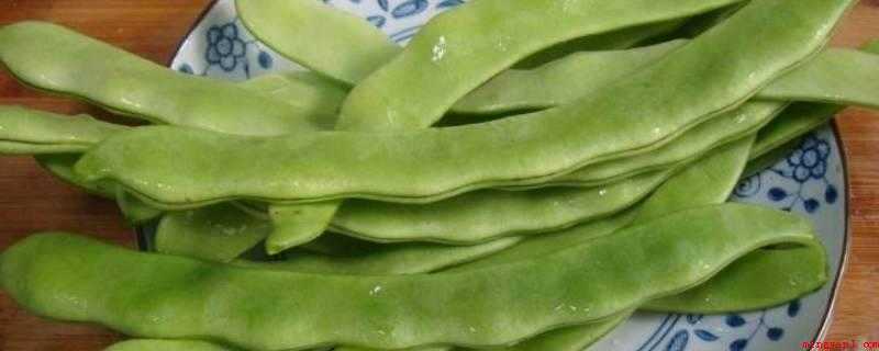 什么豆角炒不熟有毒