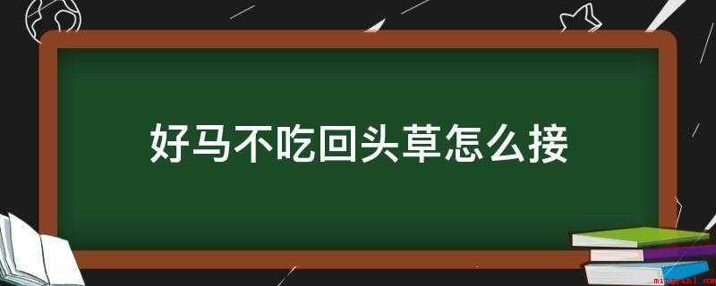 好马不吃回头草怎么接(好马不吃回头草的下一句是紫燕偏爱旧时家)
