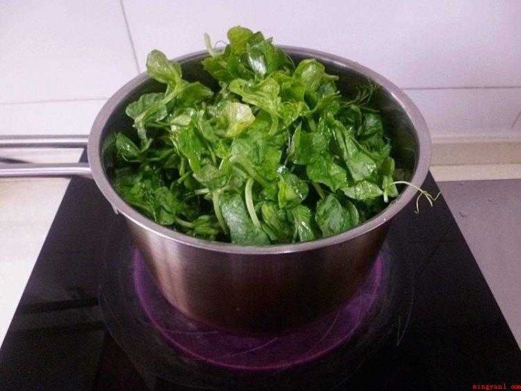 豌豆尖怎么做好吃(豌豆苗的营养价值高和绿色无公害)