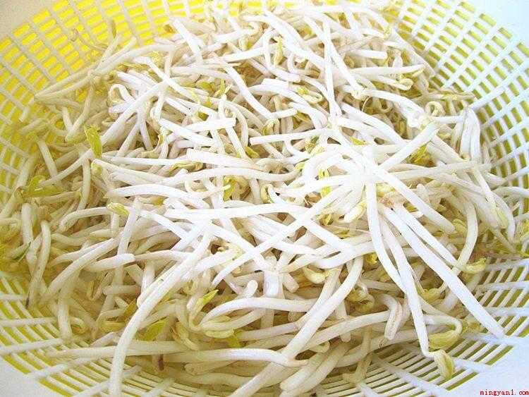绿豆牙莱怎么炒好吃(绿豆芽的做法_健康频道)