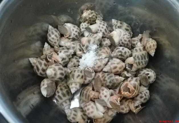 白灼花螺冷水还是热水煮(白灼花螺的做法)