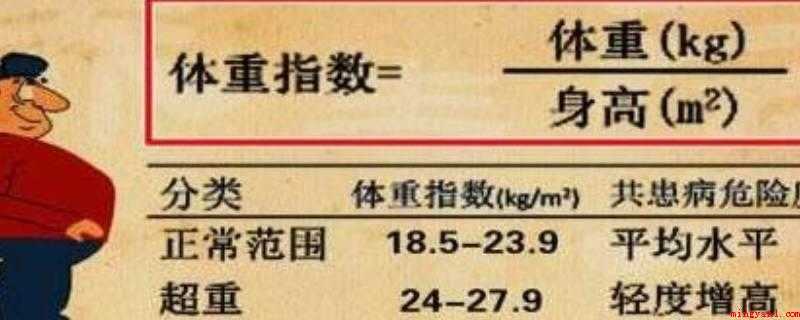 体重指数怎么算出来(BMI值是一个中立而可靠的指标)