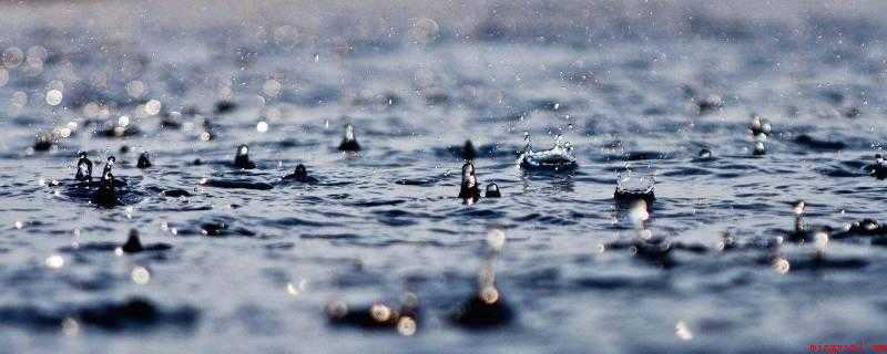 雨水可以洗衣服么(淋过雨的衣服必须再次清洗)
