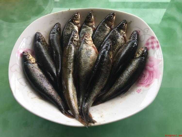 柳根鱼的做法（去鳞鱼,清洁内脏备用。）