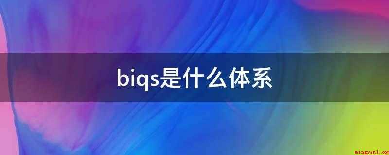 biqs是什么体系(通用汽车GM BIQS的30个模块)
