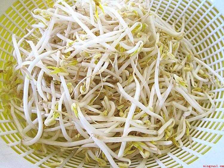 绿豆牙莱怎么炒好吃(绿豆芽的做法_健康频道)