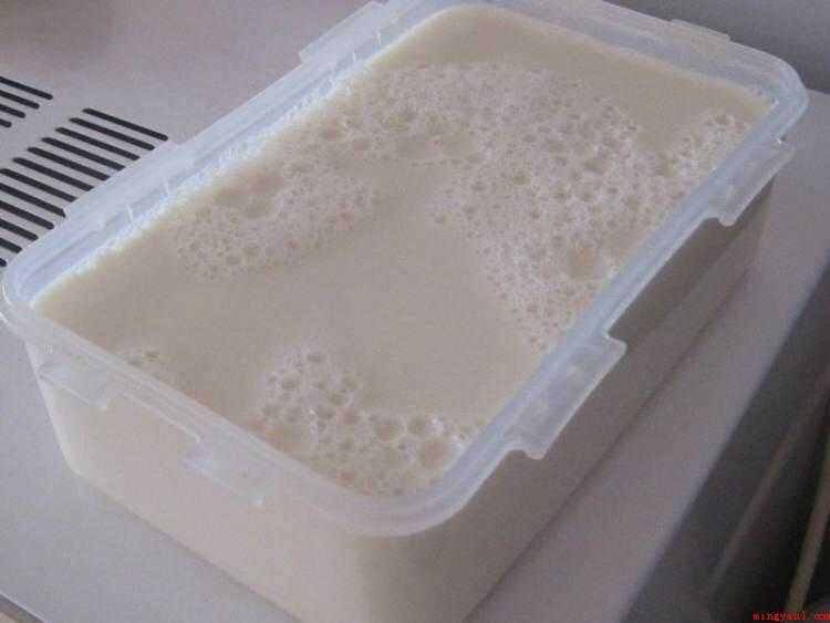 怎样做豆腐脑（大豆90克提早一夜泡开好）