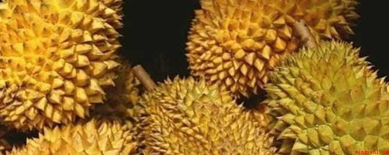 榴莲一直不开口会坏吗(榴莲的营养价值极高,温暖身体,属滋补有益的水果)