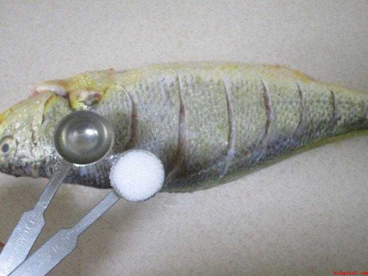 大黄鱼怎么做(青椒丝和姜丝的做法_健康频道)