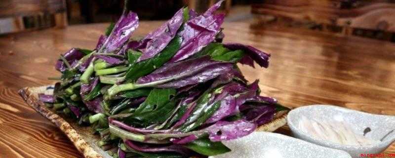 吃红背菜有什么好处