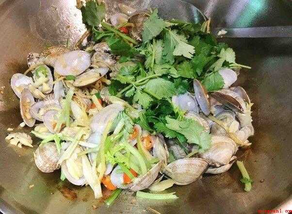 怎么炒蛤蜊(蛤蜊的营养特点有哪些?)