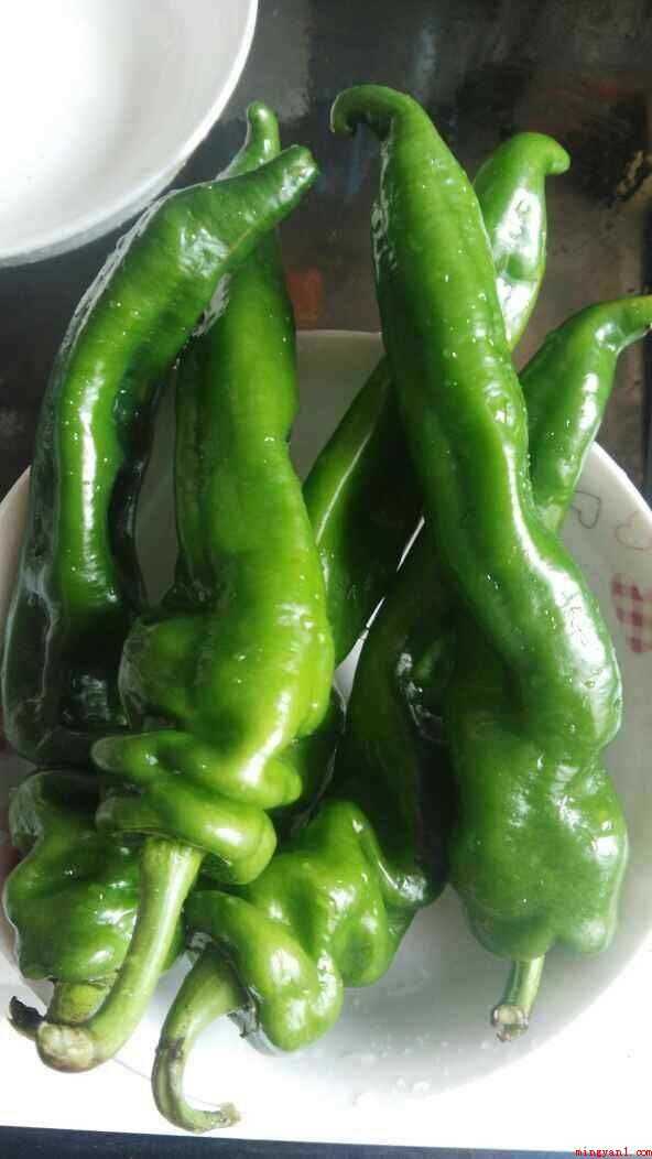 螺丝椒怎么炒的好吃