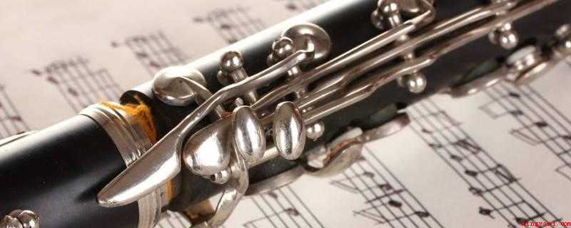 clarinet是什么乐器(单簧管是木管乐器的一种)