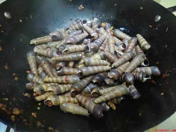 怎么炒钉螺(日本炒钉螺的做法有哪些)
