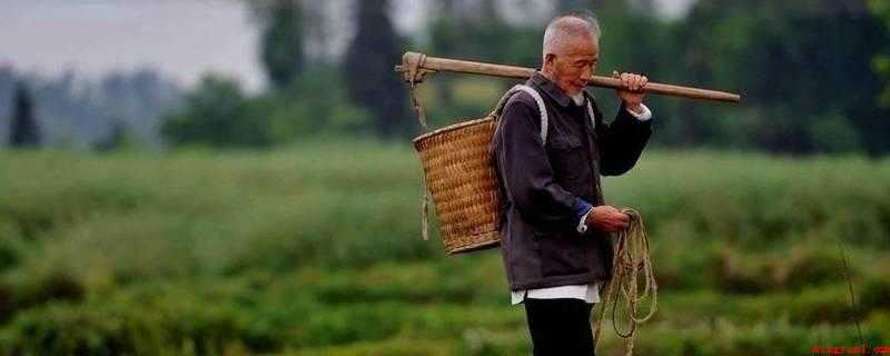 一回生二回熟三回什么(农村老话一生,二熟,三成高手)