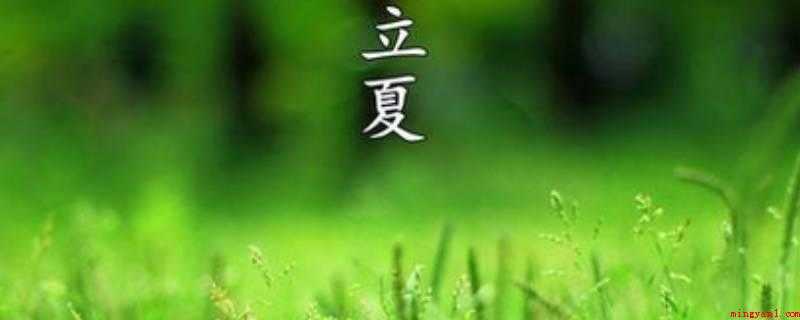 立夏的来历(农业谚语被称为初夏看夏天)