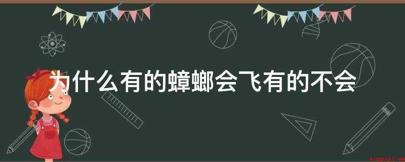 为什么有的蟑螂会飞有的不会?