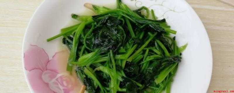 怎么炒菠菜好吃(菠菜含有丰富多彩的维他命_健康频道)